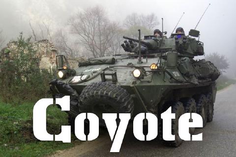 Coyote